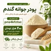 بهترین روش نگهداری پودر جوانه گندم؛ چگونه مانع از تلخ شدن و خرابی آن شویم؟