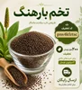 بهترین روش نگهداری تخم بارهنگ؛ چگونه مانع نم‌کشیدن و خراب شدن آن شویم؟