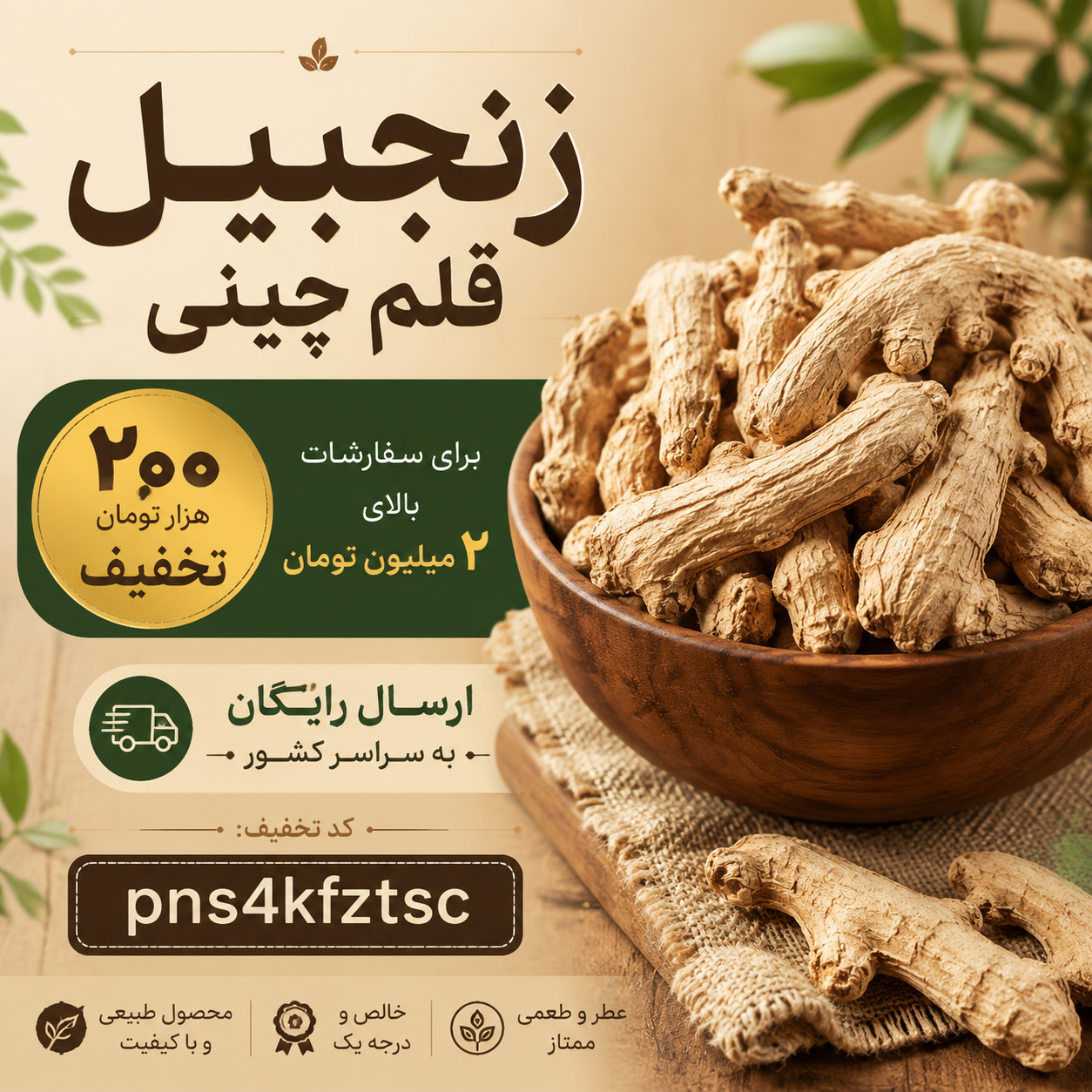 زنجبیل قلم چینی اعلا | زنجبیل خشک درشت و پرعطر(۱کیلویی)