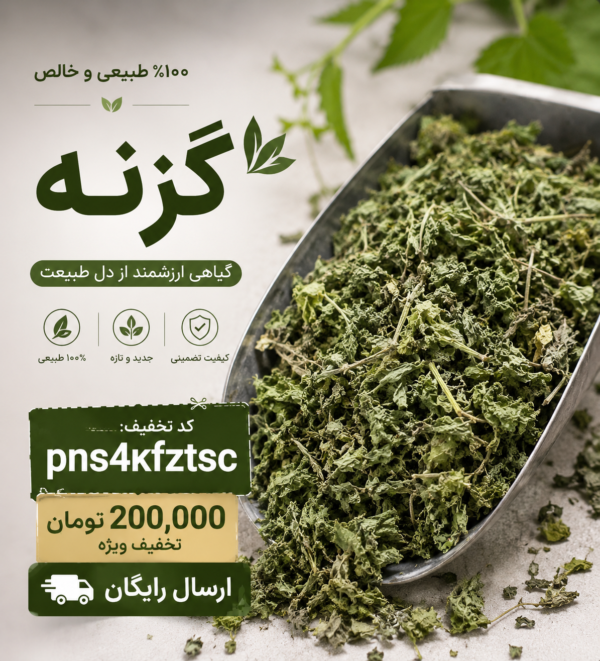 گیاه گزنه خشک اصل – تقویت‌کننده طبیعی و کنترل‌کننده قند خون(۱کیلویی)