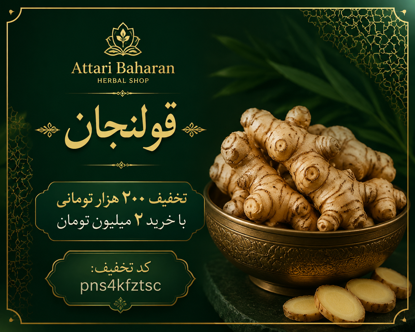*قولنجان اعلا | ریشه گرم، معطر و درمانی (مشابه زنجبیل اما قوی‌تر)۱کیلویی