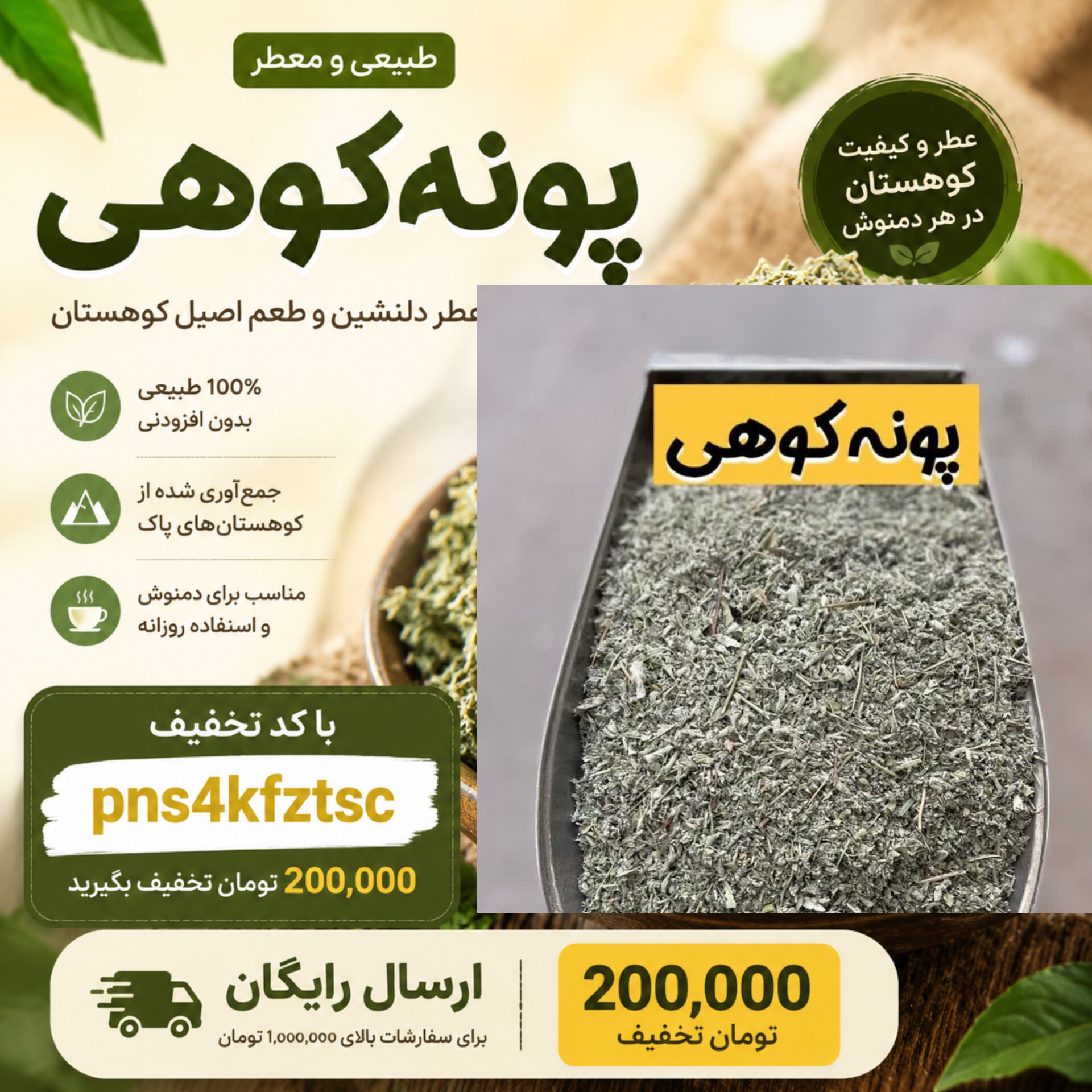 پونه کوهی سورت شده کردستان | پونه کوهی معطر کوهی(۱کیلویی)