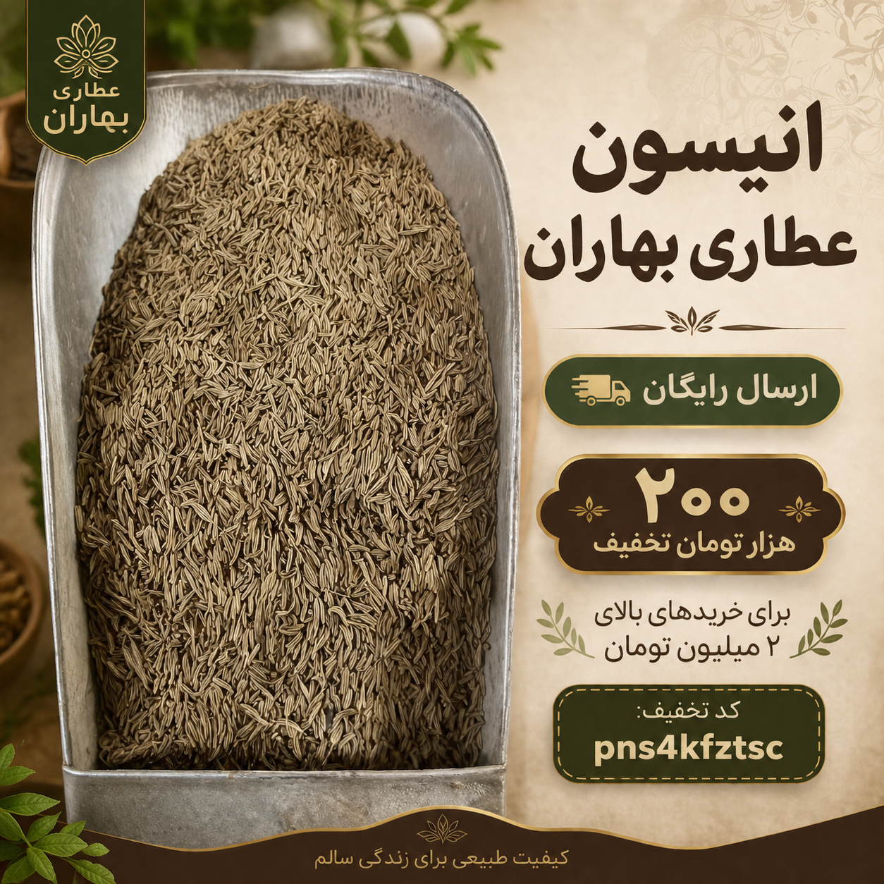 خرید انیسون (بادیان رومی) تازه و خوش‌بو | عطاری بهاران(۱کیلو)