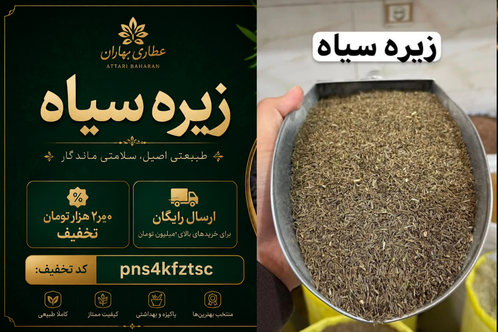 قلم زیره سیاه کوهی؛ روغن خورده،طعم بی‌نظیر و عطر تند برای ذائقه‌های خاص(۱کیلو)ارسال رایگان و تخفیف ۲۰۰هزارتومانی